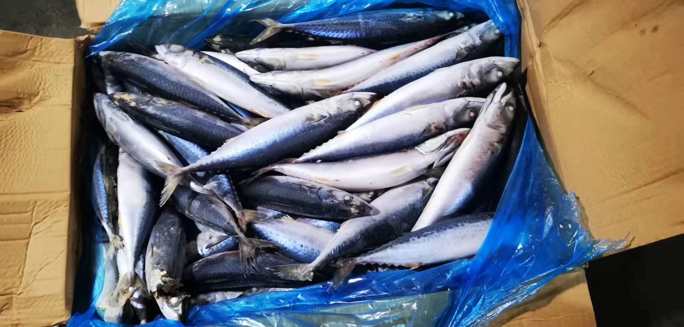 10013434185180669383