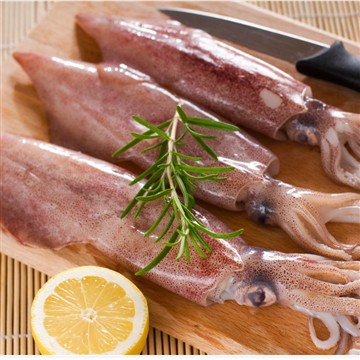 Chilean Squid Exports Surge Chilean Squid Exports Surge