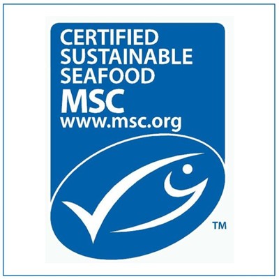 Az MSC globális kereslete a fenntartható tenger gyümölcsei iránt folyamatosan...