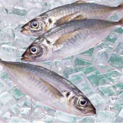 Kína továbbra is a tengeri termékek legnagyobb exportőre