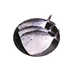 Fagyasztott mono hal