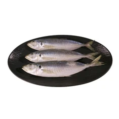 Sea Frozen Balang Scad