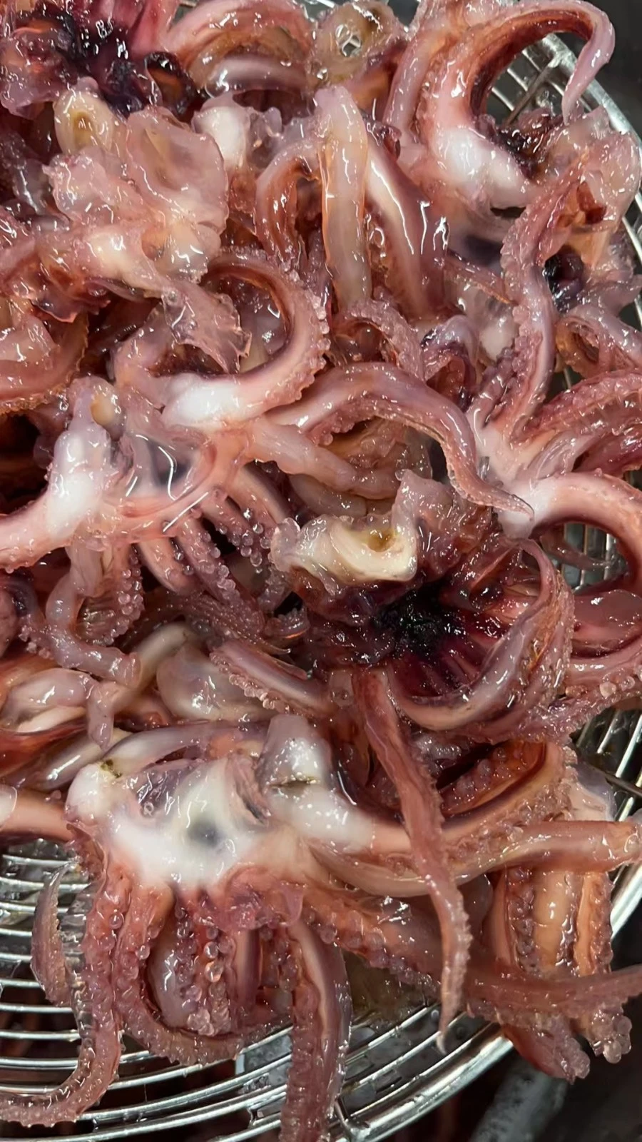 Frozen Squid Head With Tentacle