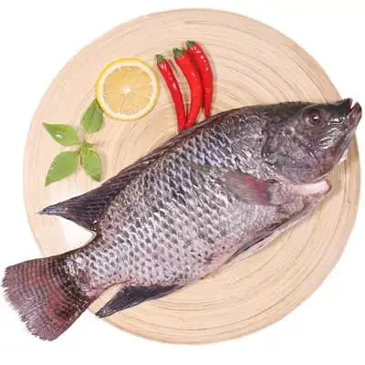 A vietnami tilápiaipar felgyorsítja fejlődését, és hamarosan felveszi a verse...