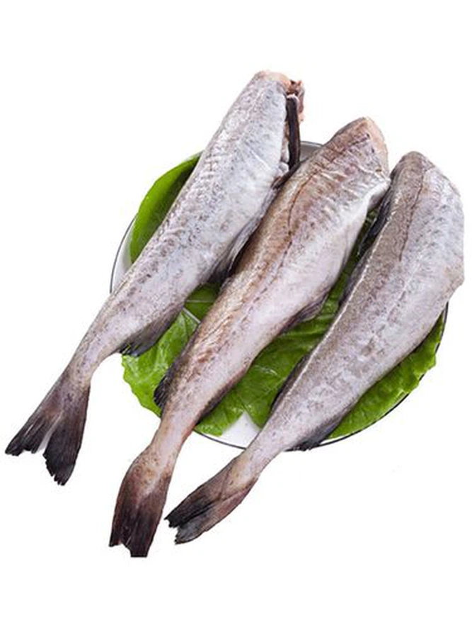 u12806830881493685464fm224app112fJPEG u12806830881493685464fm224app112fJPEG